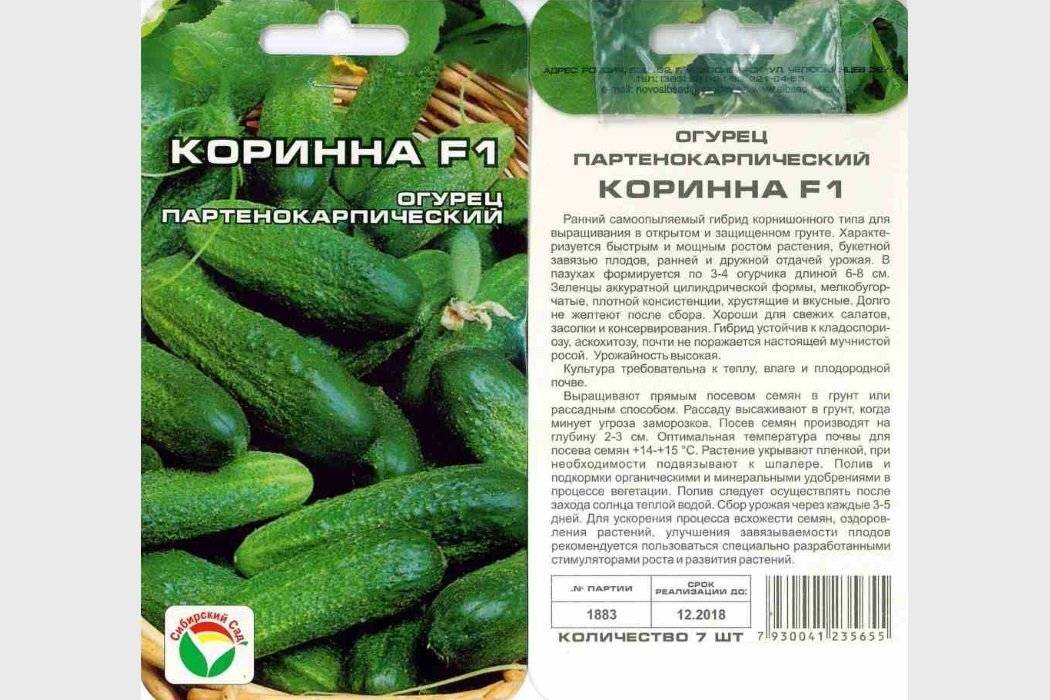 Разновидности корнишонов, посадка и уход