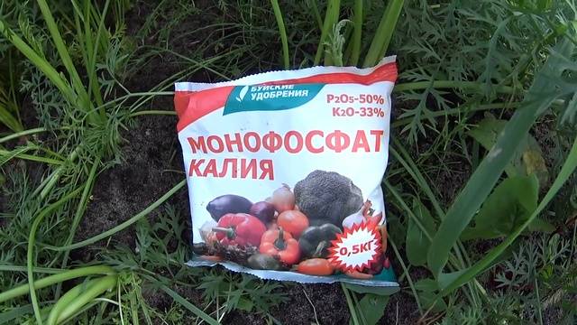 Удобрение для моркови - чем и как правильно подкармливать?