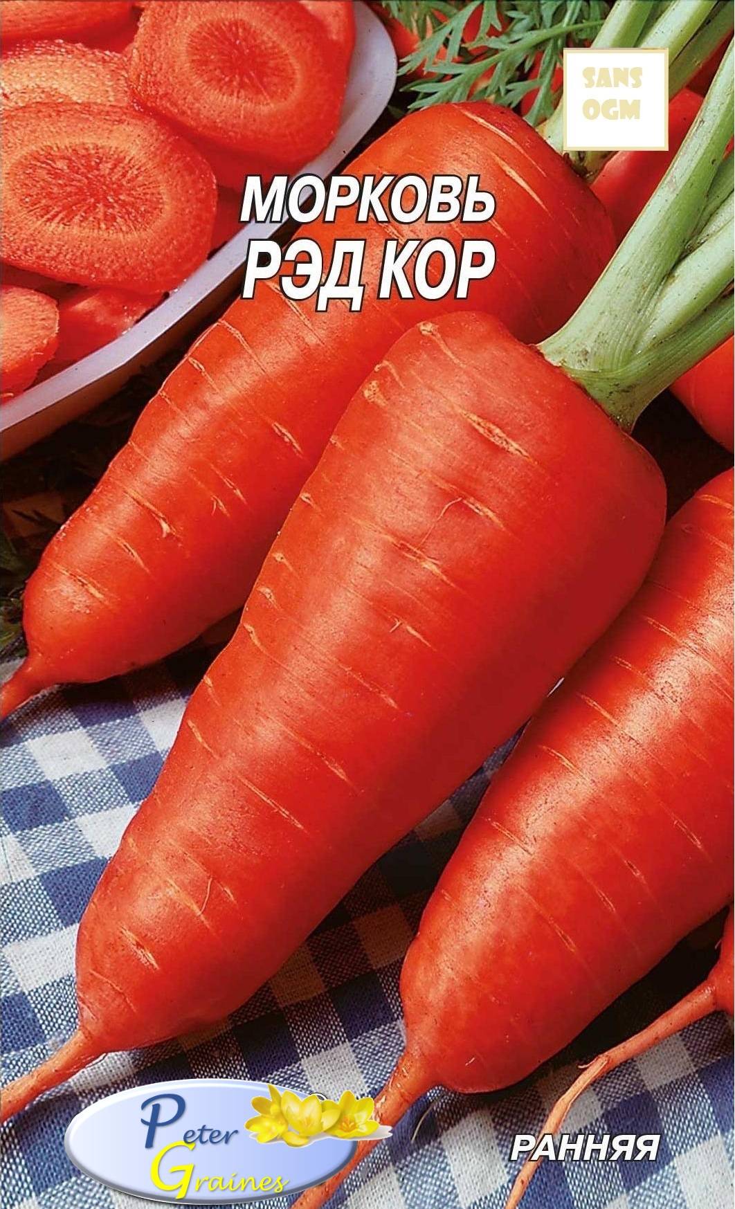 Сорт моркови ред кор фото и описание