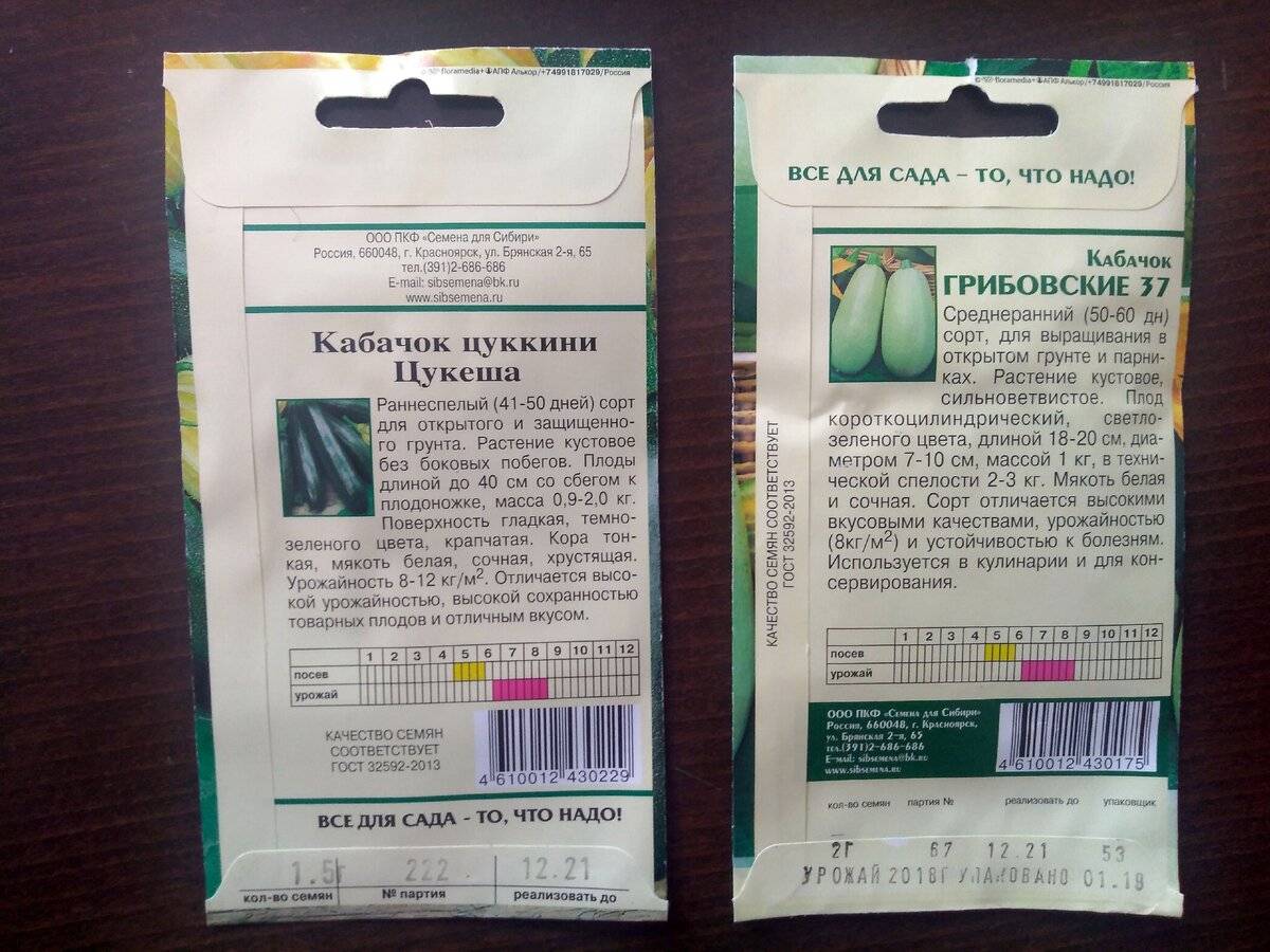 В чем разница между кабачками и цукини? можно ли заменять одно другим в рецептах?