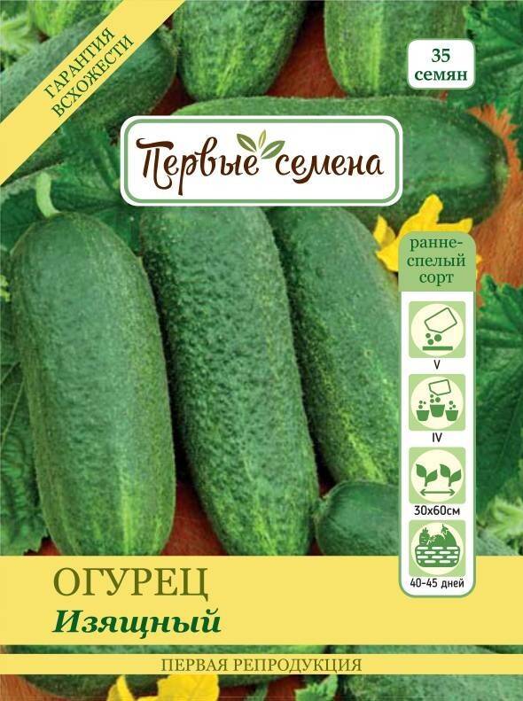 Огурец изящный: отзывы, описание сорта, фото