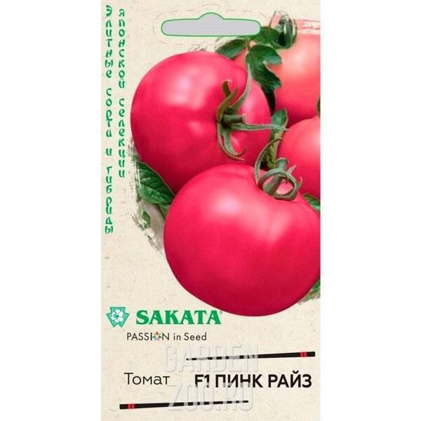 Томат «пинк буш f1»: отзывы, фото куста – все о томатах. выращивание томатов. сорта и рассада.