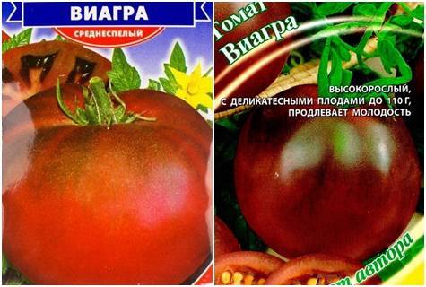 Этот сорт укрепит любые отношения — томат виагра: описание помидоров и особенности их выращивания. характеристика и описание томата «виагра»