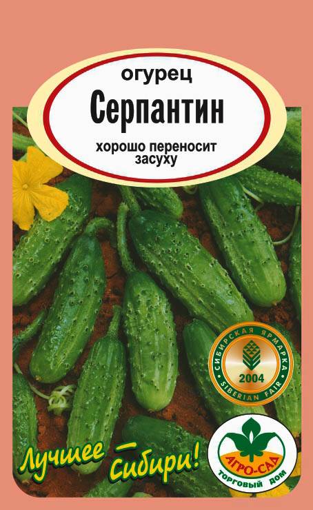 Огурец серпантин - описание сорта, фото, отзывы, посадка и уход - журнал "совхозик"