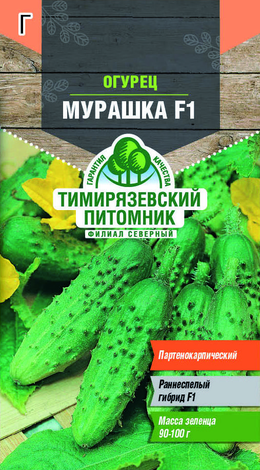 Описание и особенности выращивания огурцов мурашка, фото, отзывы об урожае