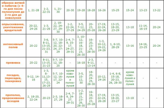 Посадка огурцов на рассаду в 2020 году по лунному календарю: таблица и рекомендации