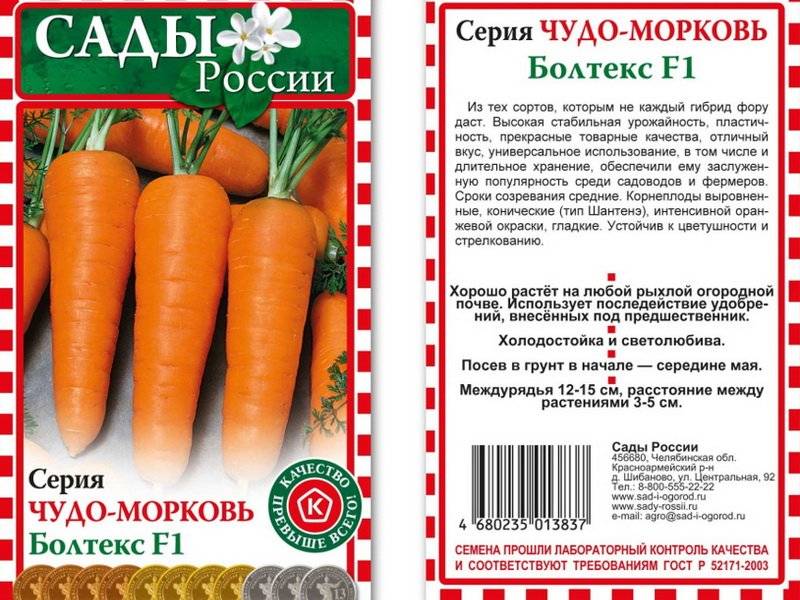Лучшие сорта моркови для сибири | вырасти сад!