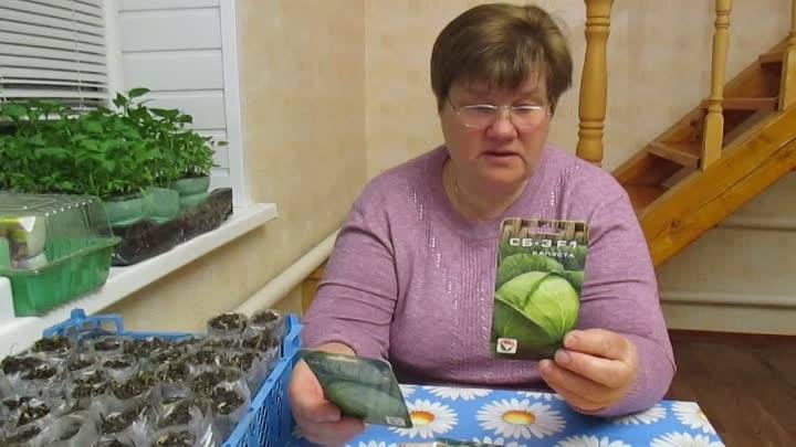 Юлия миняева выращивание перца - советы для огородников, цветоводов, садоводов