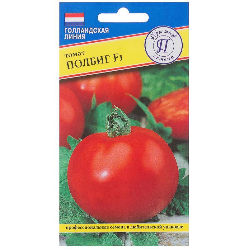 Отличный гибридный сорт помидор «полбиг» порадует и садоводов и фермеров | садоводство24