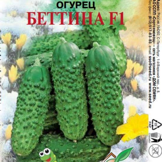 Преимущества голландского гибрида огурца «беттина f1»