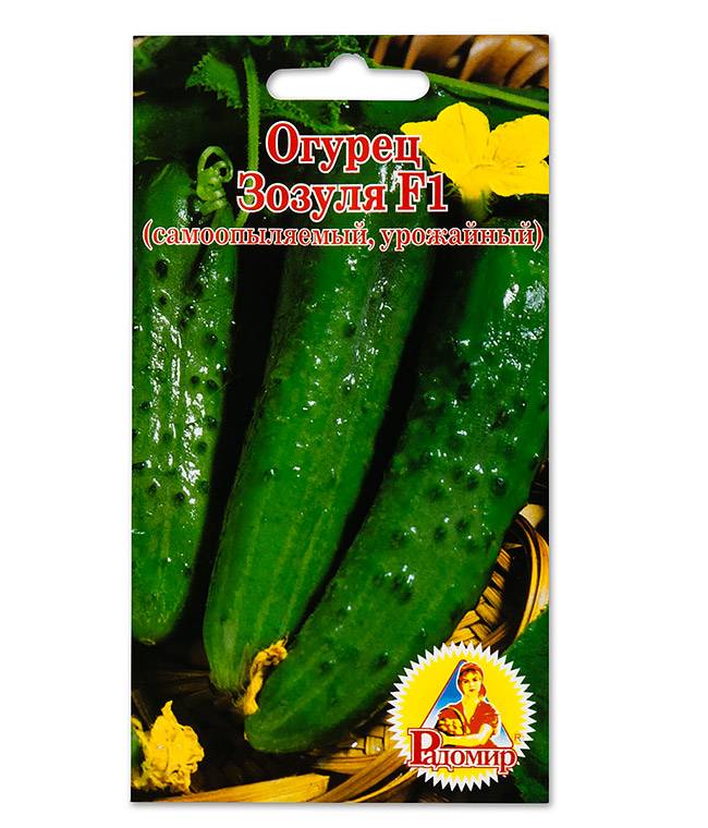 Огурец зозуля - описание сорта, фото, отзывы огородников