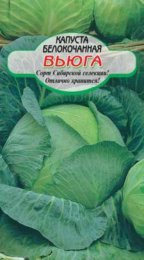 Капуста вьюга описание сорта фото отзывы - скороспел