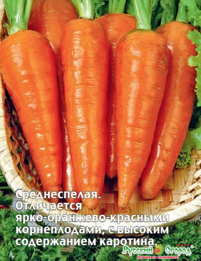 Морковь ред кор: описание и характеристика сорта, выращивание и уход, фото - лучший фермер