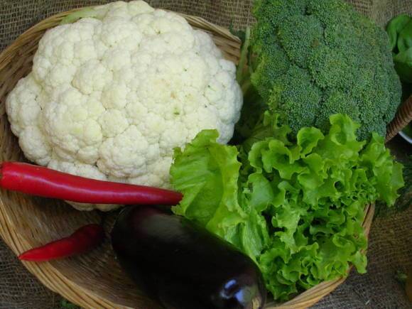 Качественный гибрид с выдающимся вкусом — капуста цветная гарантия: отзывы и описание сорта