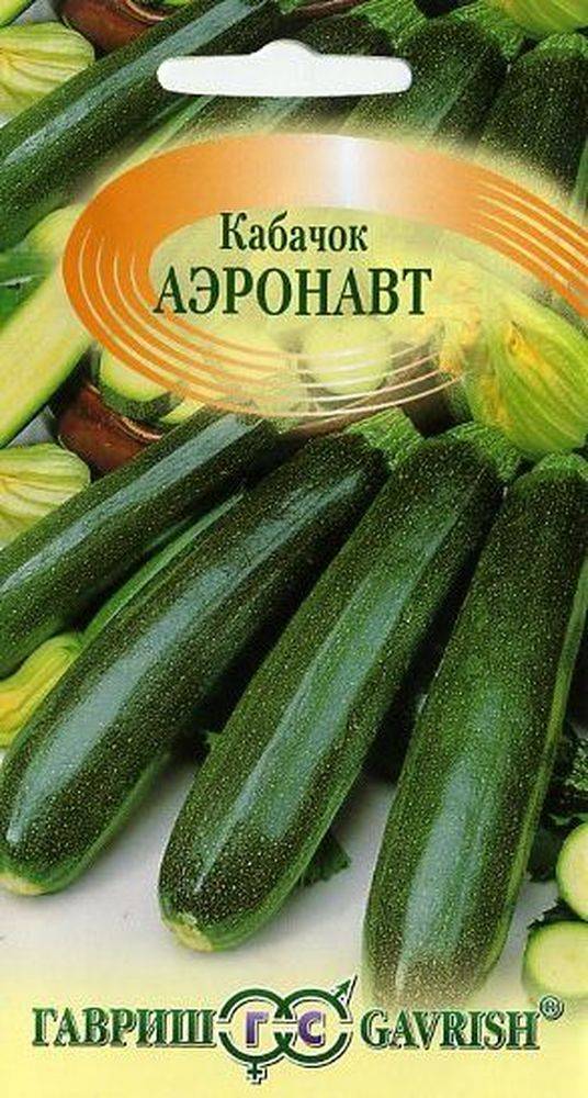Кабачок аэронавт — разбираемся со всех сторон