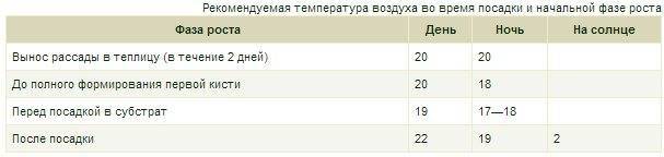Какую температуру выдерживает рассада помидор
