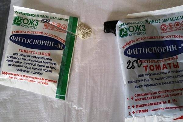 Фитоспорин препарат для растений. описание, особенности и применение фитоспорина | сад и огород\.ру