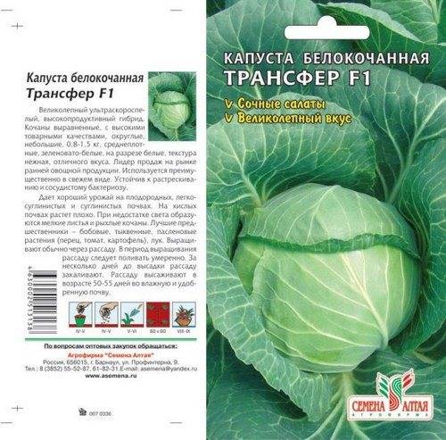 Ранняя капуста: лучшие сорта, правила выращивания и сбор урожая