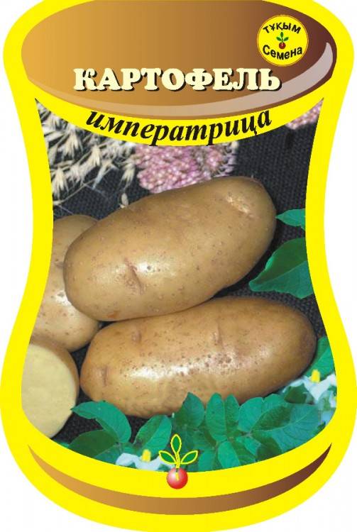 Сорта картофеля, какие выращивала я: характеристики, фото