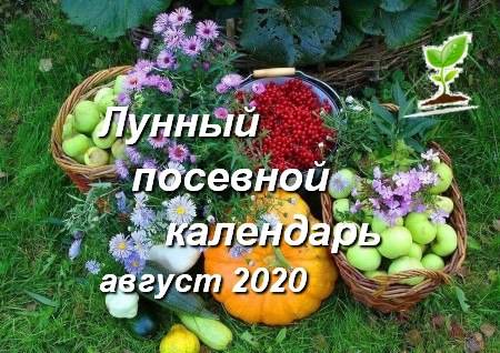 Лунный посевной календарь на апрель 2021 года садовода и огородника