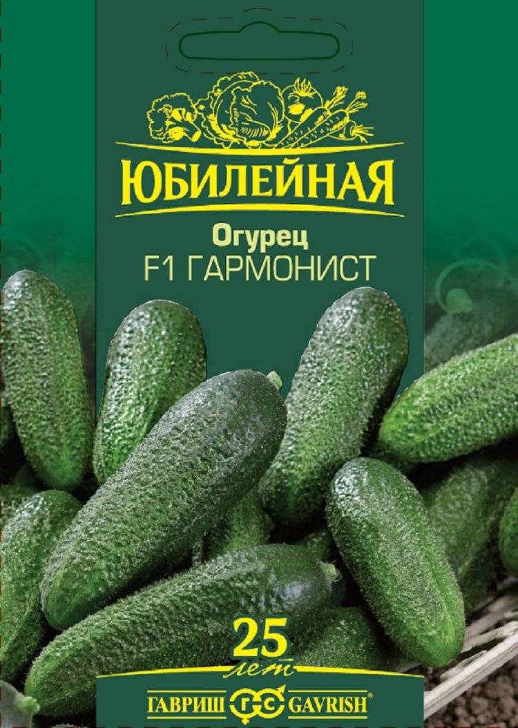 Огурец гармонист - ogorodguru