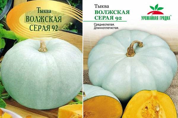 Тыква «россиянка»: характеристики сорта, фото, выращивание, отзывы
