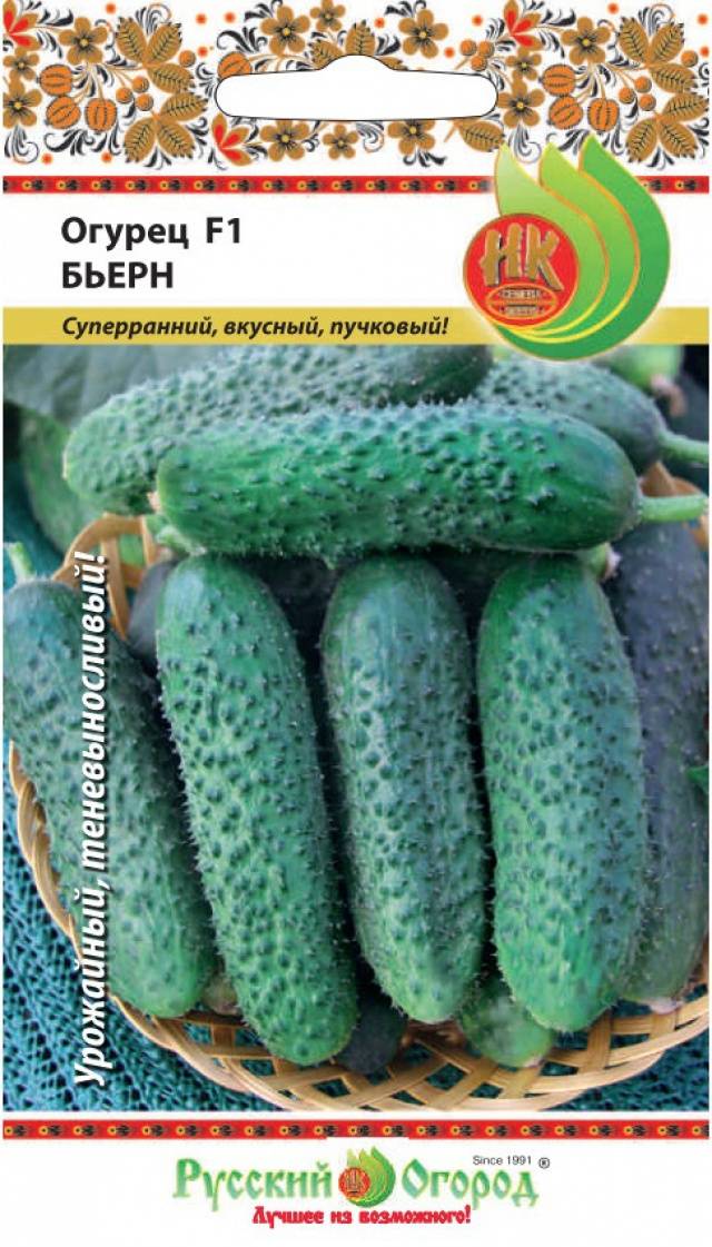 Огурец бьерн f1: отзывы, описание сорта, фото