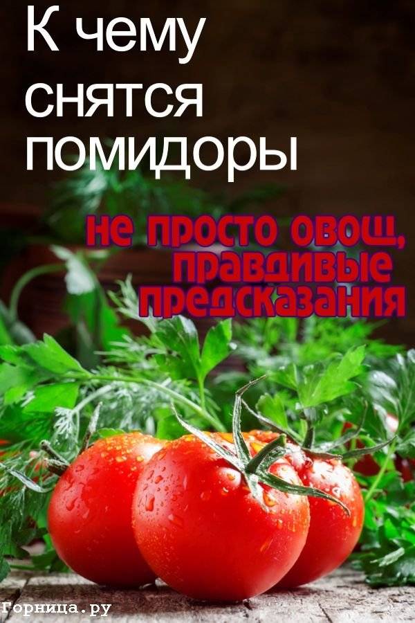 Сонник есть красную. К чему снятся помидоры. К чему снятся помидоры красные. К чему снятся помидоры женщине. Сонник помидоры красные.