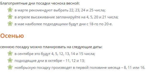Лунный календарь для посадки чеснока под зиму