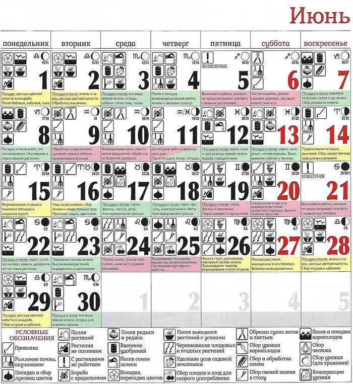 Август 2021 – лунный посевной календарь садовода, огородника и цветовода!
