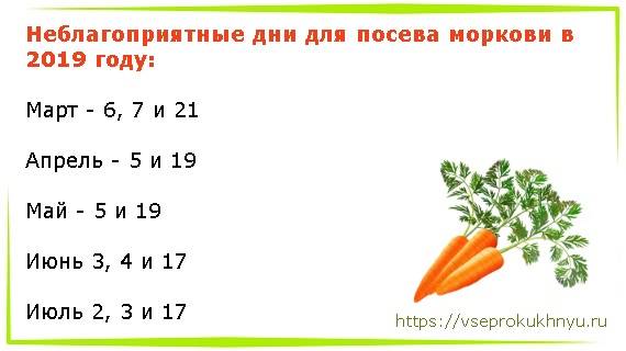 В каких числах мая можно. Какого числа сажать морковь. Когда сажают морковь какого числа. Какого числа садить морковь. Когда сажать морковку.