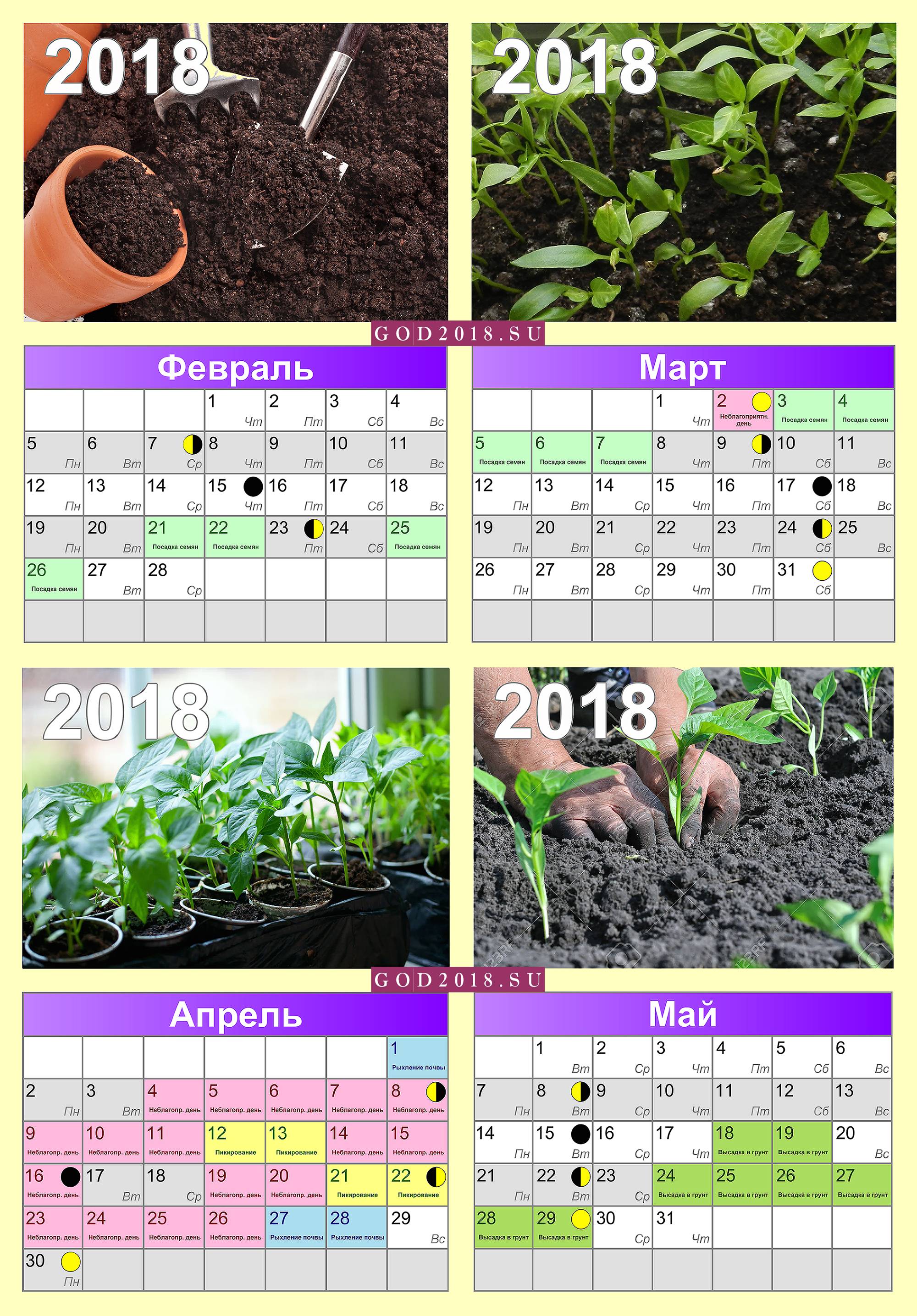 Когда можно сеять перцы в 2024 году. Календарь посадки рассады. Календарь посева рассады. Цветы на рассаду в феврале. Когда садить рассаду цветов.