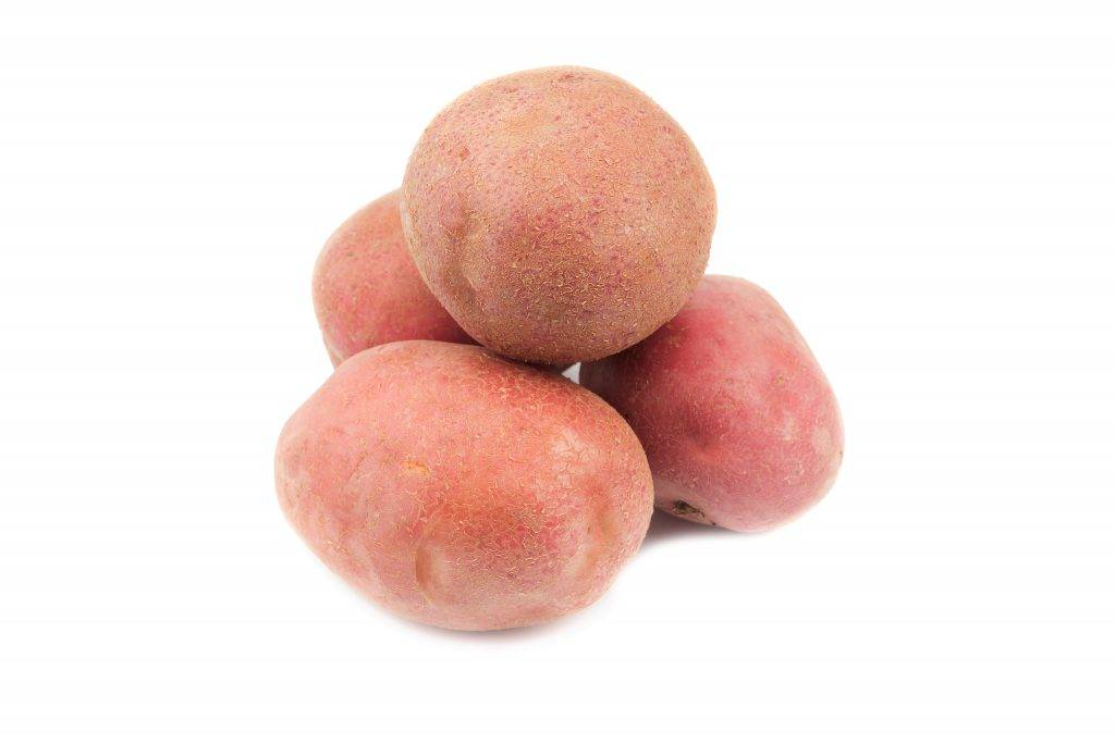 Картофель крепыш: описание сорта, фото, отзывы о вкусовых качествах и сроках созревания, особенности выращивания и хранения, характеристика урожайности