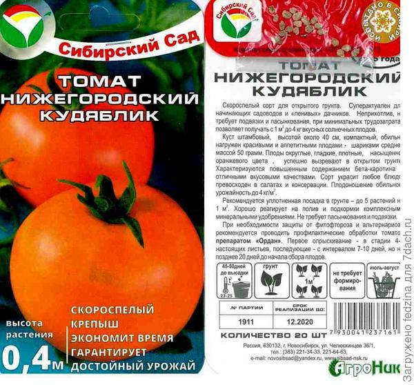 Крупноплодный сорт с хорошей устойчивостью к болезням — томат королевский: подробное описание