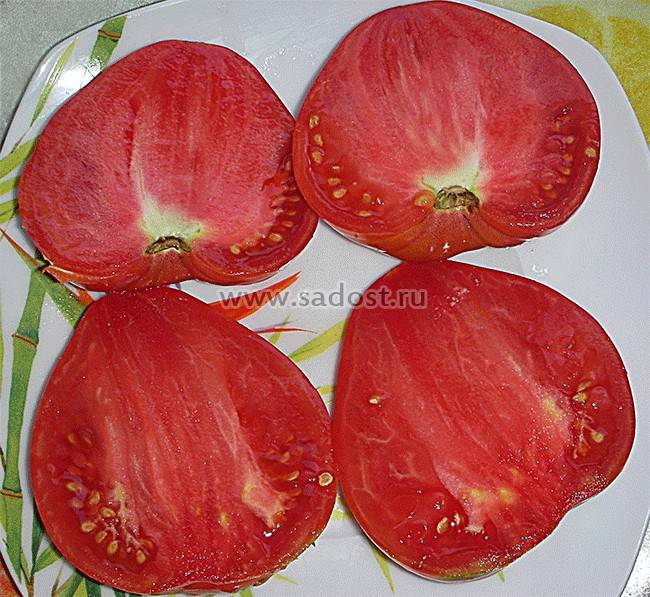 Описание сорта томата королевич, его характеристика и выращивание