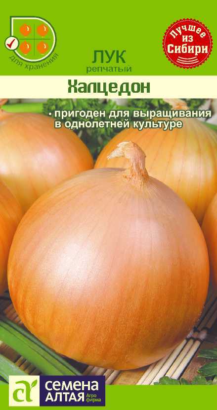 Описание лука сорта халцедон, его характеристика и выращивание из семян