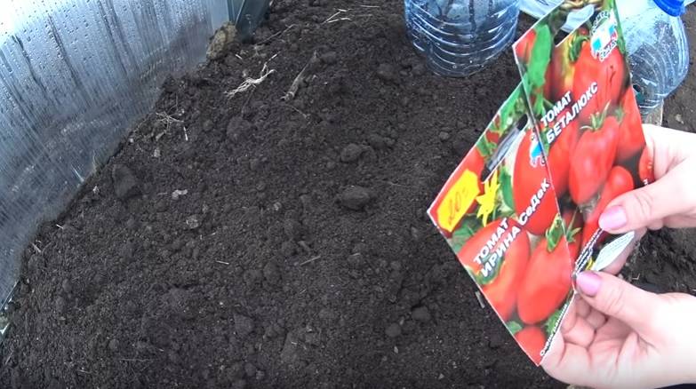 Посадка помидор: как правильно провести посев семян томатов, схемы размещения овоща на даче, в теплице и парнике, уход от а до я, особенности полива, а также фото русский фермер