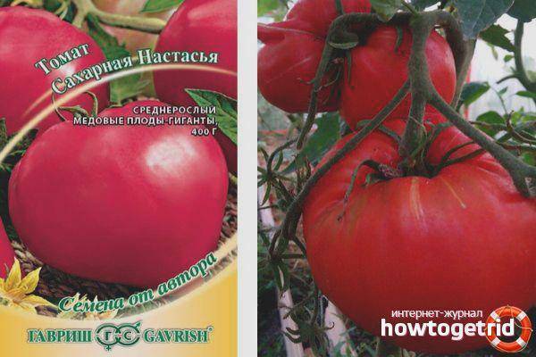 Томат помидорная королева: отзывы об урожайности, фото куста в высоту, описание реликтового сорта