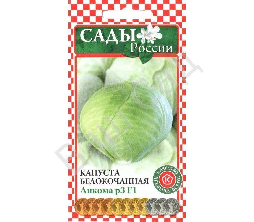 Капуста ларсия f1 отзывы