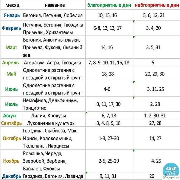 Когда сеять морковь и свеклу по лунному посевному календарю 2017 года на supersadovnik.ru