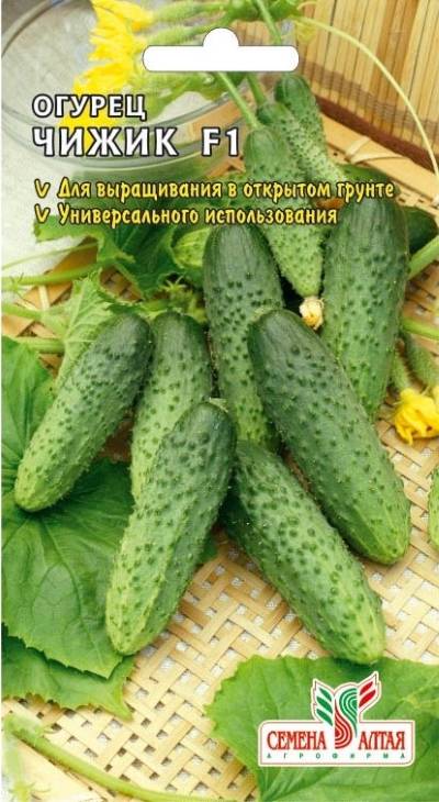 Характеристика огурцов сорта хуторок
