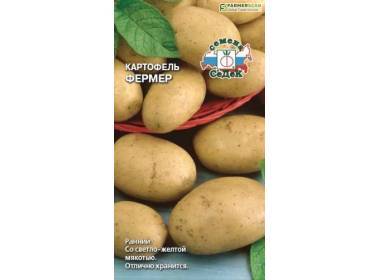 Картофель инноватор: описание сорта, фото, отзывы о вкусовых качествах и сроках созревания, характеристика урожайности, описание клубней и советы по выращиванию