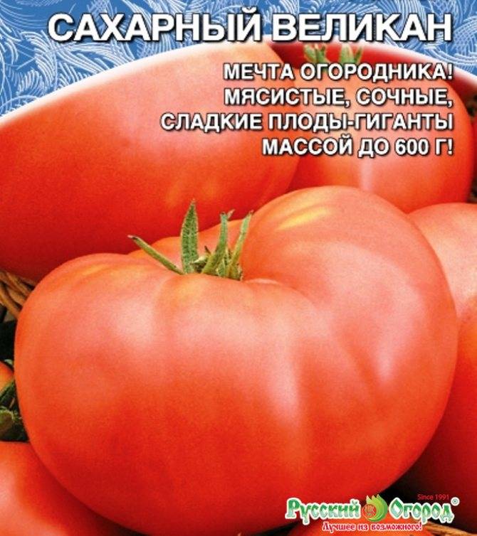 Томат ленинградский гигант: характеристика и описание сорта, урожайность