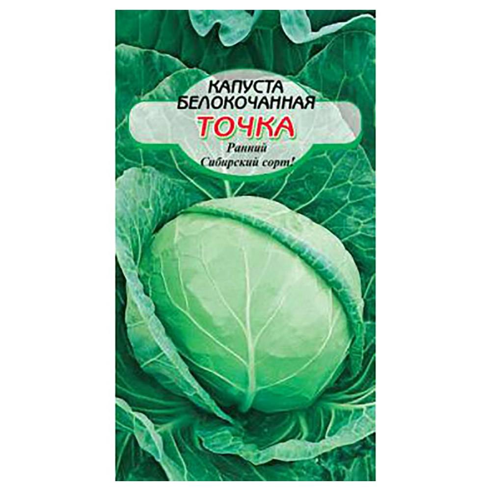 Капуста анкома f1: характеристика гибрида, отзывы о вкусовых качествах, описание урожайности сорта, фото семян
