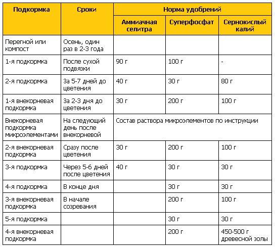 Подкормка картошки