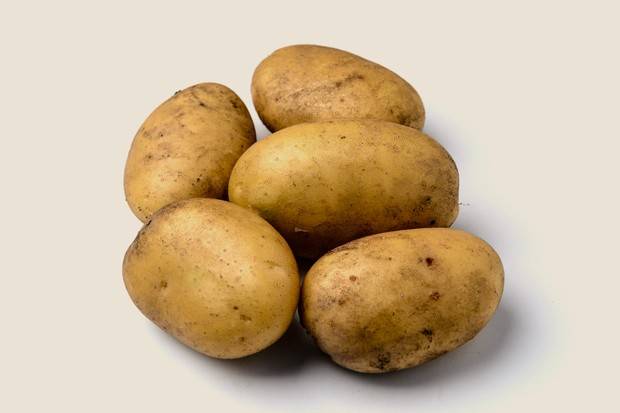 Картофель зекура: характеристика и описание сорта, фото, отзывы – сад и огород своими руками