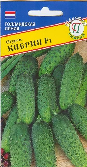 Описание сорта огурцов кибрия f1, отзывы и советы огородников, фото урожая