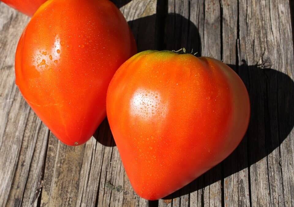 Самые урожайные сорта томатов на 2018 год семена для теплицы, открытого грунта в регионах