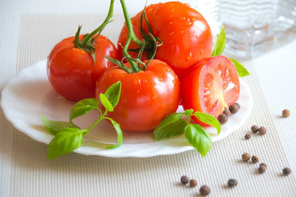 Вершинная гниль на помидорах: лечение народными средствами и препаратами