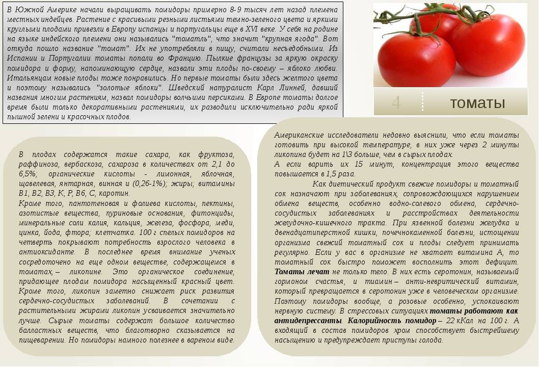 Что содержится в помидорах - всё о витаминах